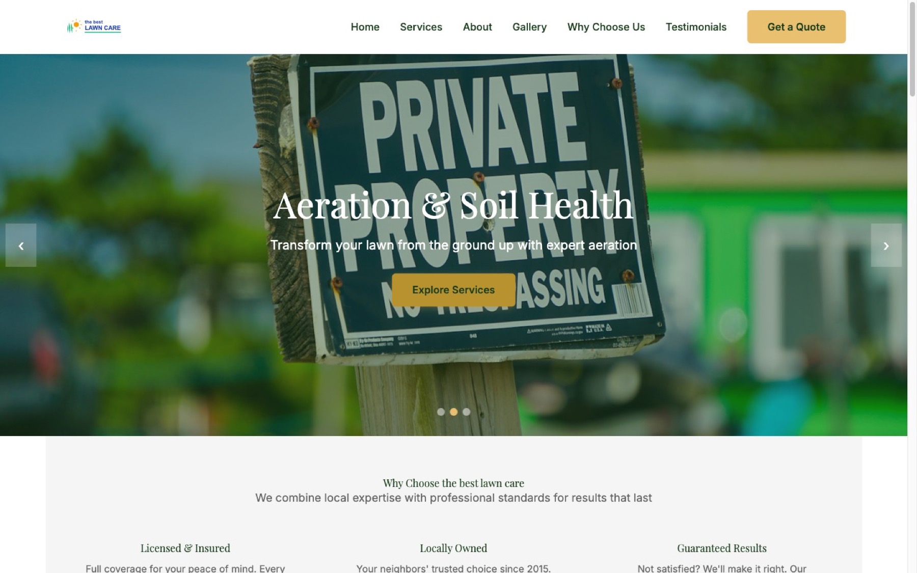 Professional lawn care website proof